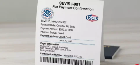 تصویر توضیحی از این‌که سویس فی چیست و چه کاربردی دارد