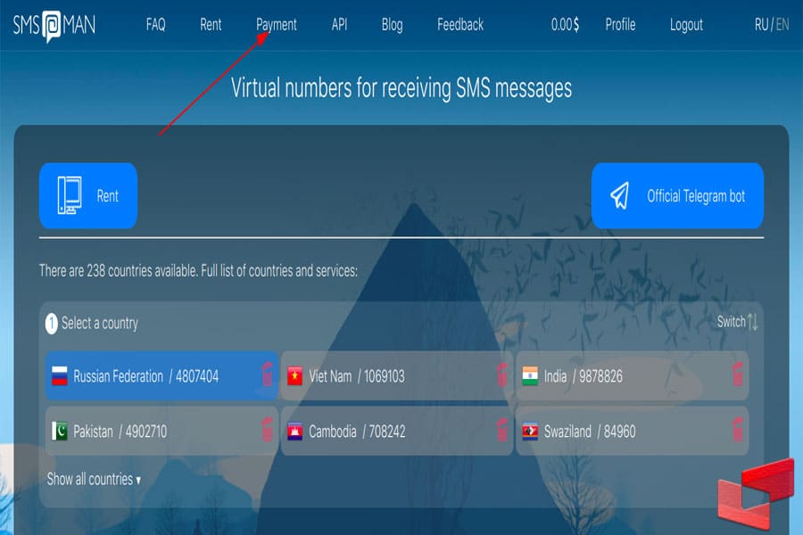 شماره مجازی رایگان