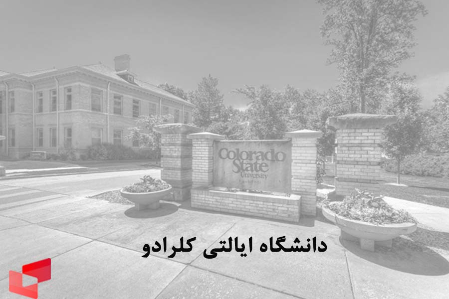 دانشگاه‌های آمریکایی که مدرک دولینگو می‌پذیرند